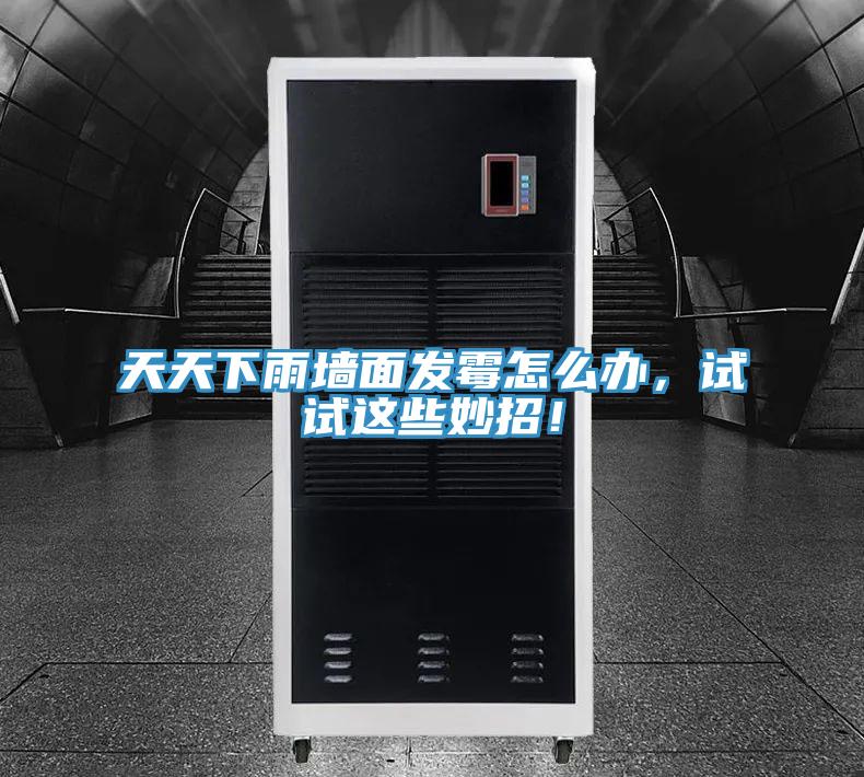 天天下雨墻面發(fā)霉怎么辦，試試這些妙招！