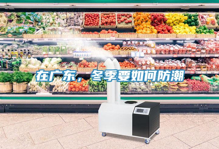 在廣東，冬季要如何防潮