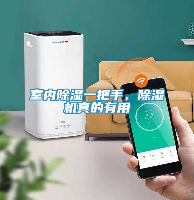 室內(nèi)除濕一把手，除濕機(jī)真的有用