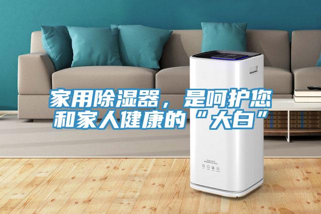家用除濕器，是呵護您和家人健康的“大白”