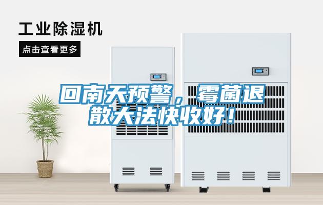 回南天預(yù)警，霉菌退散大法快收好！