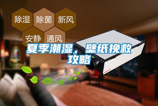 夏季潮濕，壁紙挽救攻略