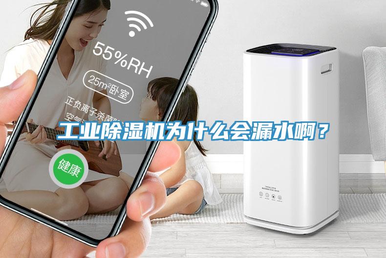 工業(yè)除濕機(jī)為什么會漏水?。?/></p>
                            <p style=
