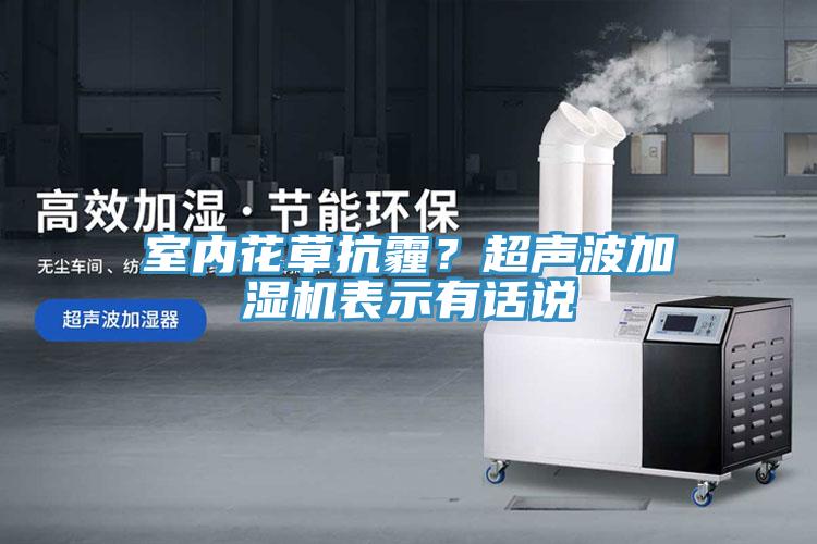 室內(nèi)花草抗霾？超聲波加濕機表示有話說