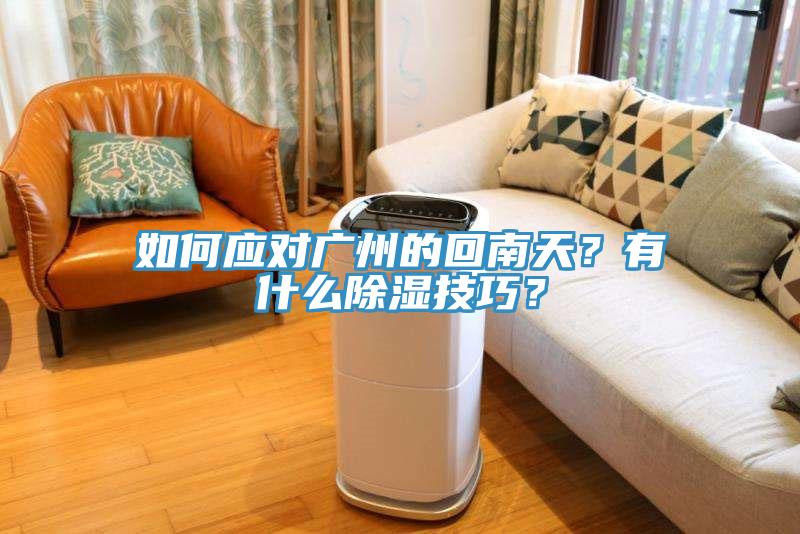 如何應(yīng)對廣州的回南天？有什么除濕技巧？