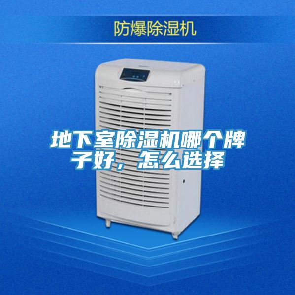 地下室除濕機(jī)哪個(gè)牌子好，怎么選擇