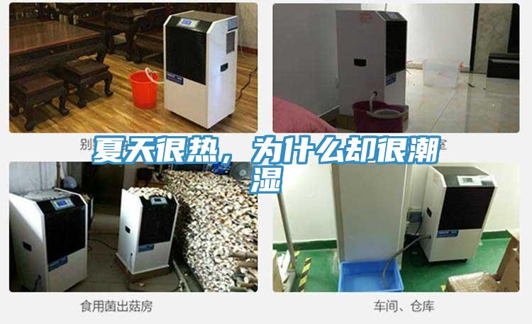 夏天很熱，為什么卻很潮濕