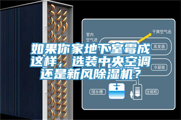如果你家地下室霉成這樣，選裝中央空調(diào)還是新風(fēng)除濕機(jī)？