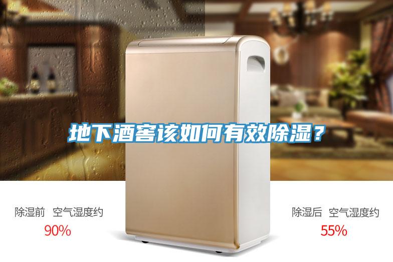 地下酒窖該如何有效除濕？