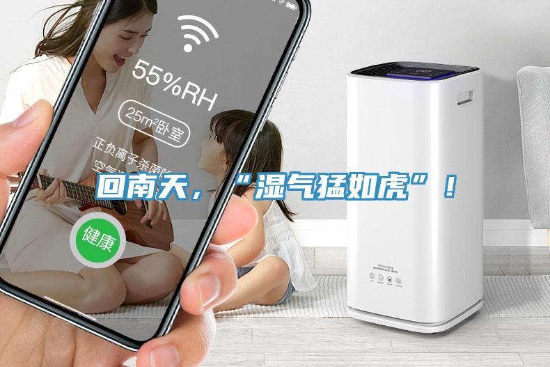 回南天，“濕氣猛如虎”！