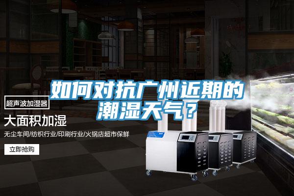 如何對(duì)抗廣州近期的潮濕天氣？