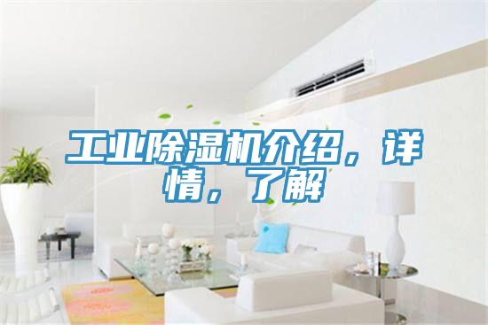 工業(yè)除濕機(jī)介紹，詳情，了解