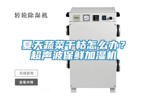 夏天蔬菜干枯怎么辦？超聲波保鮮加濕機(jī)