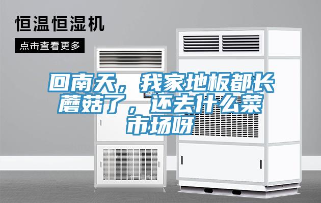 回南天，我家地板都長蘑菇了，還去什么菜市場呀
