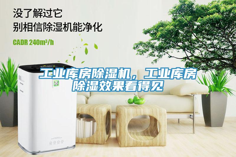 工業(yè)庫房除濕機(jī)，工業(yè)庫房除濕效果看得見