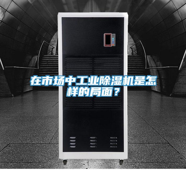 在市場(chǎng)中工業(yè)除濕機(jī)是怎樣的局面？