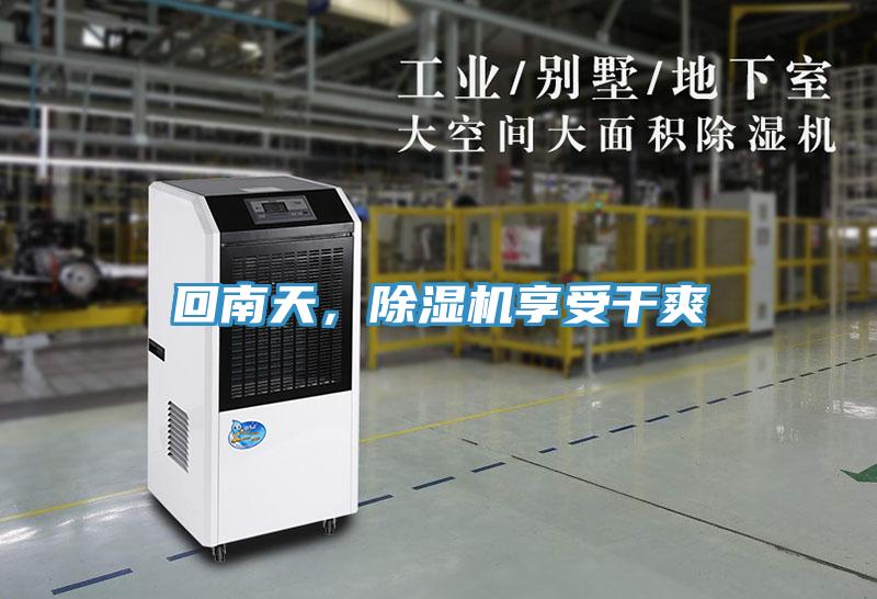 回南天，除濕機享受干爽