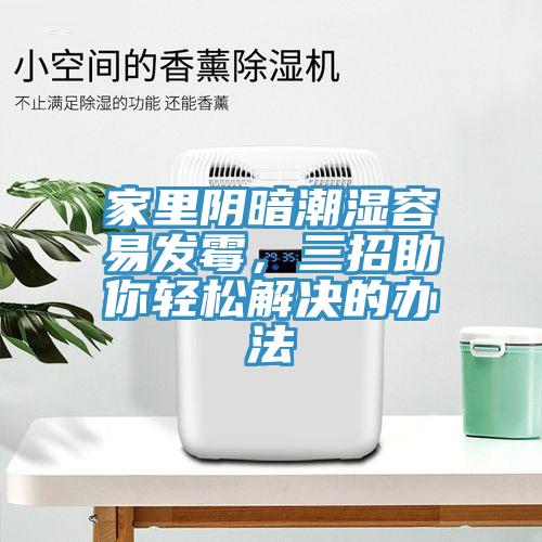 家里陰暗潮濕容易發(fā)霉，三招助你輕松解決的辦法