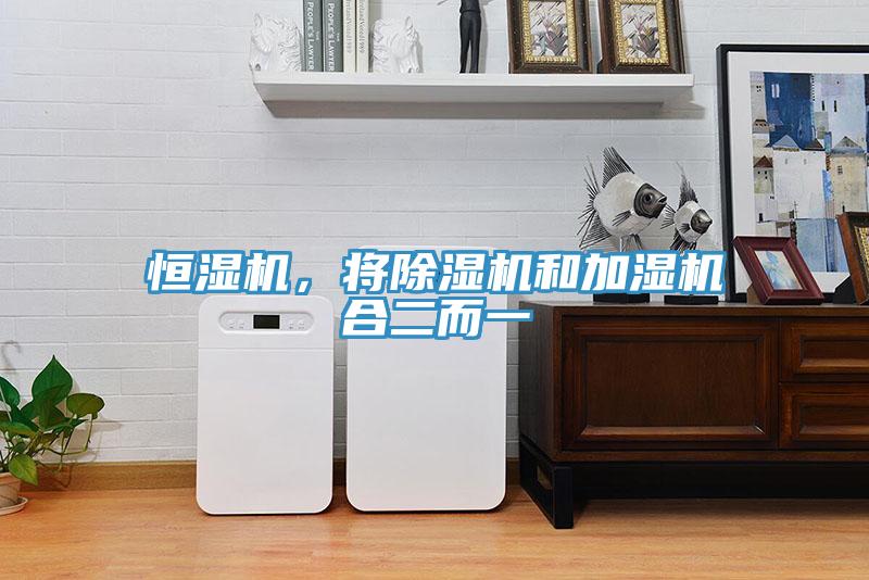 恒濕機，將除濕機和加濕機合二而一