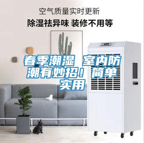 春季潮濕 室內(nèi)防潮有妙招！簡單實用