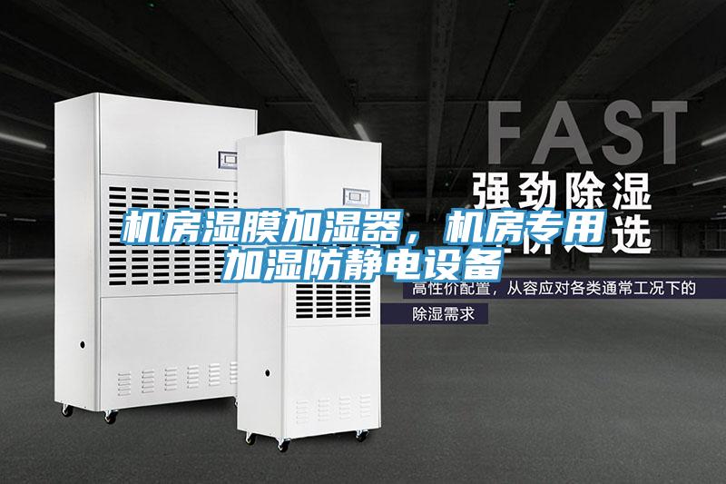 機(jī)房濕膜加濕器，機(jī)房專用加濕防靜電設(shè)備