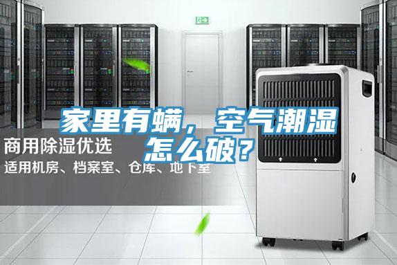家里有螨，空氣潮濕怎么破？