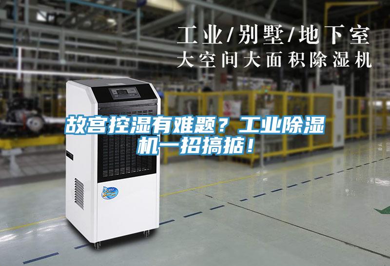 故宮控濕有難題？工業(yè)除濕機(jī)一招搞掂！