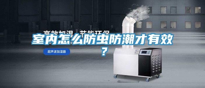 室內(nèi)怎么防蟲防潮才有效？