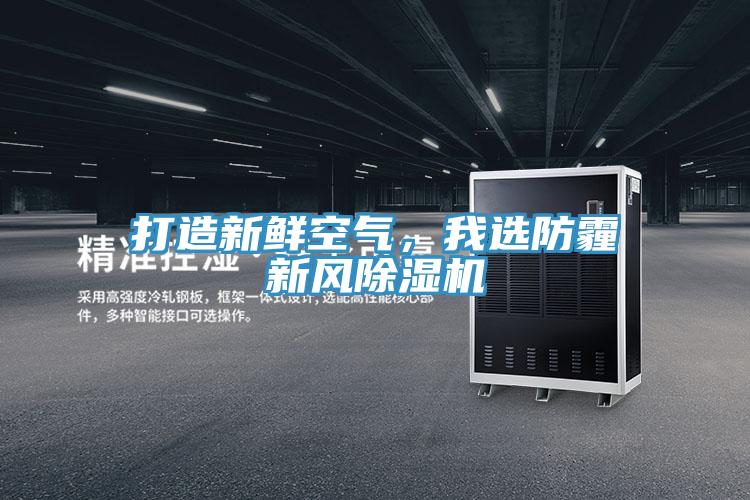 打造新鮮空氣，我選防霾新風(fēng)除濕機(jī)
