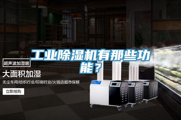 工業(yè)除濕機有那些功能？
