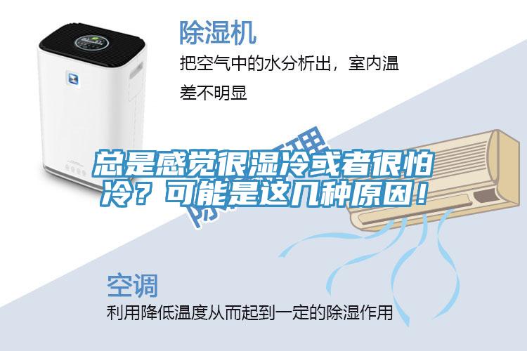總是感覺很濕冷或者很怕冷？可能是這幾種原因！