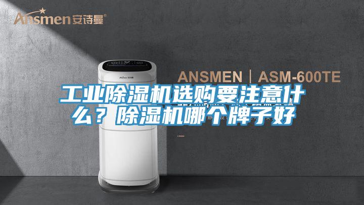 工業(yè)除濕機(jī)選購要注意什么？除濕機(jī)哪個(gè)牌子好