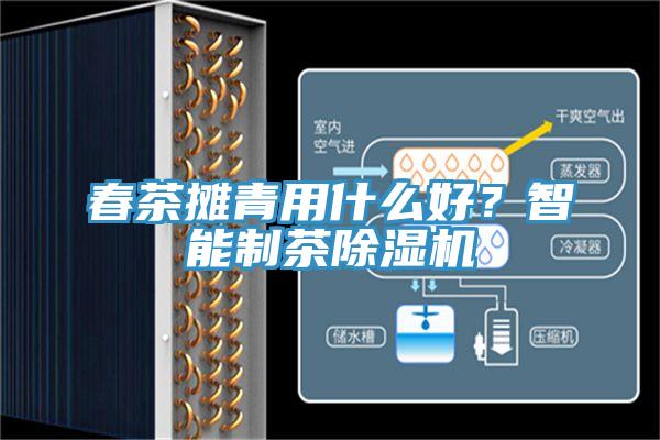 春茶攤青用什么好？智能制茶除濕機