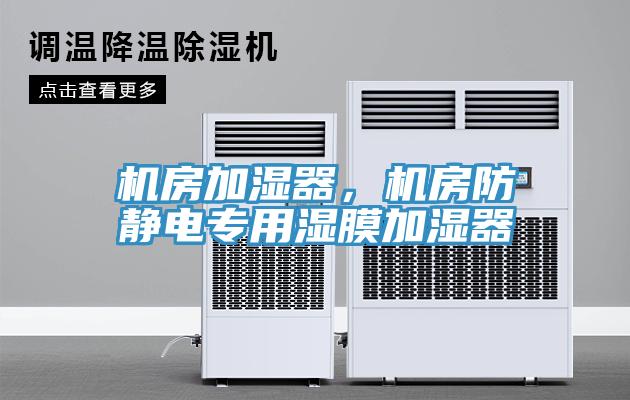 機(jī)房加濕器，機(jī)房防靜電專用濕膜加濕器