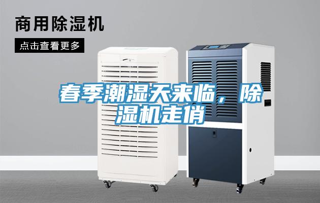 春季潮濕天來(lái)臨，除濕機(jī)走俏