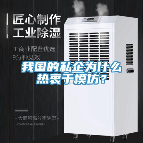 我國的私企為什么熱衷于模仿？
