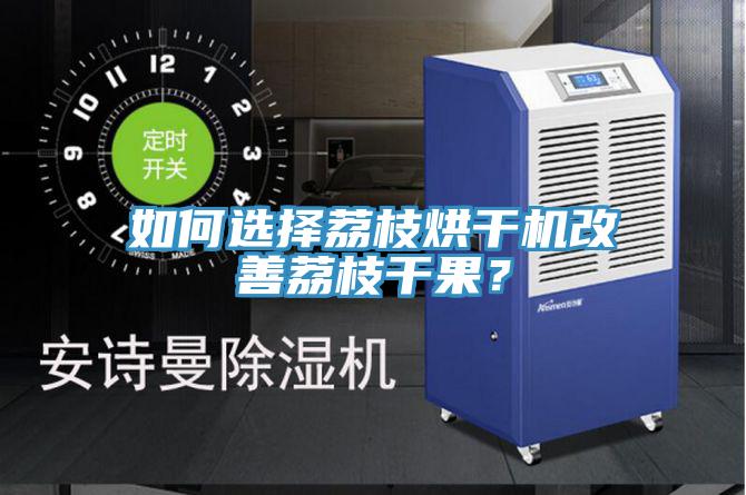 如何選擇荔枝烘干機(jī)改善荔枝干果？