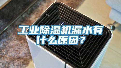 工業(yè)除濕機(jī)漏水有什么原因？
