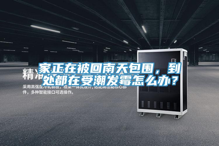 家正在被回南天包圍，到處都在受潮發(fā)霉怎么辦？