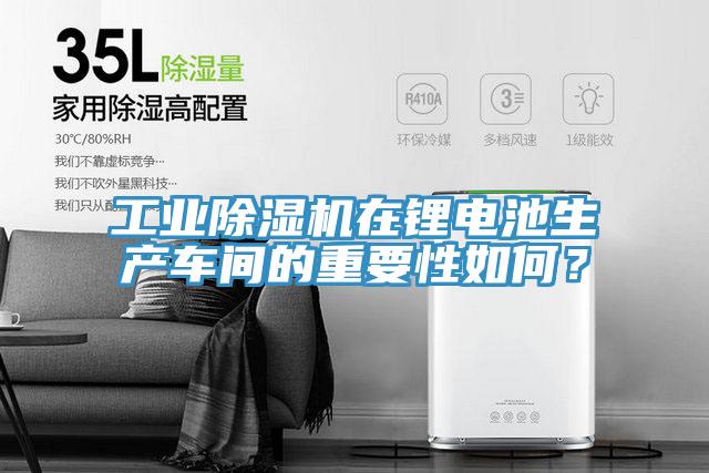 工業(yè)除濕機(jī)在鋰電池生產(chǎn)車間的重要性如何？