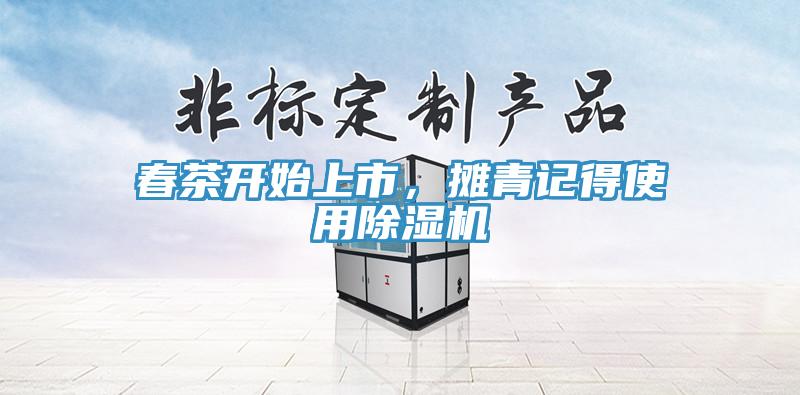 春茶開始上市，攤青記得使用除濕機