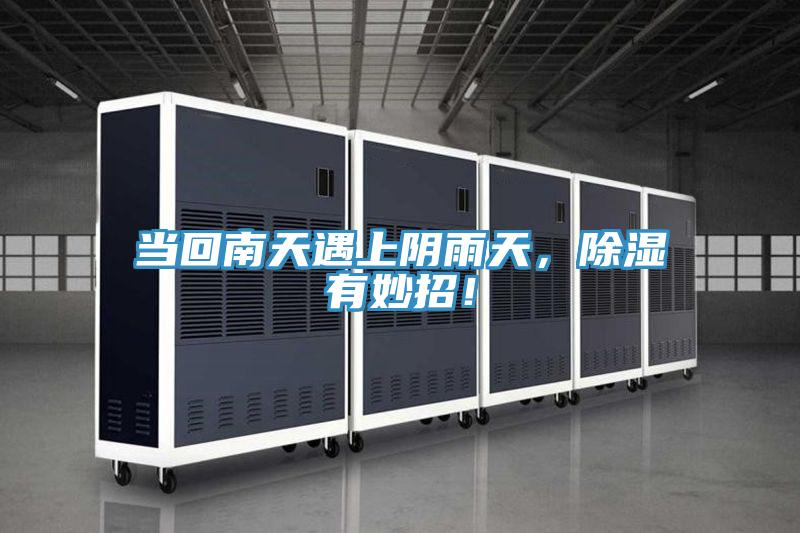 當回南天遇上陰雨天，除濕有妙招！