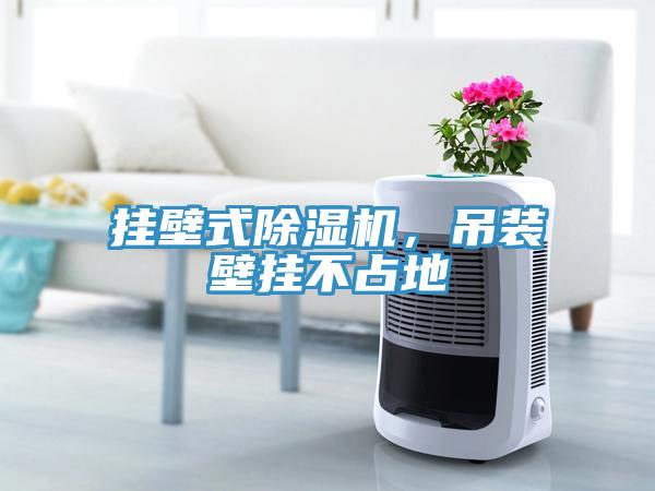 掛壁式除濕機(jī)，吊裝壁掛不占地