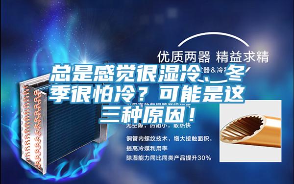總是感覺很濕冷、冬季很怕冷？可能是這三種原因！