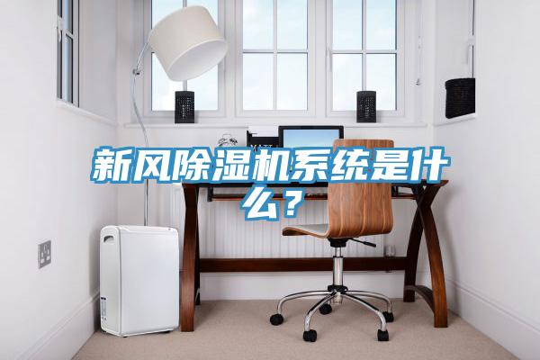 新風(fēng)除濕機(jī)系統(tǒng)是什么？