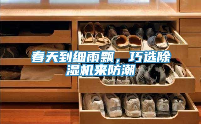 春天到細(xì)雨飄，巧選除濕機(jī)來防潮