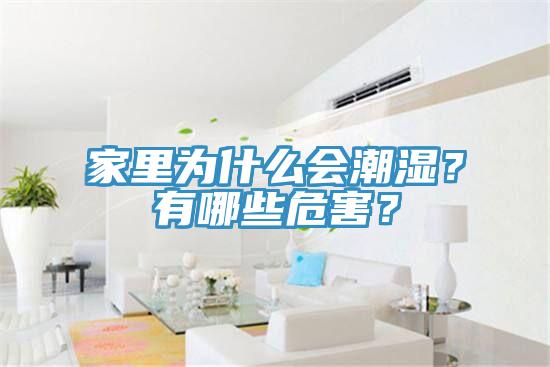 家里為什么會(huì)潮濕？有哪些危害？
