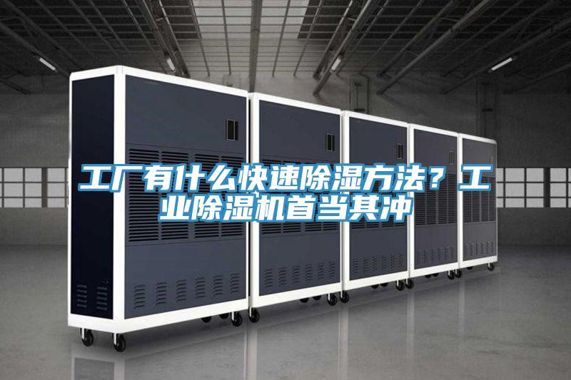 工廠有什么快速除濕方法？工業(yè)除濕機(jī)首當(dāng)其沖