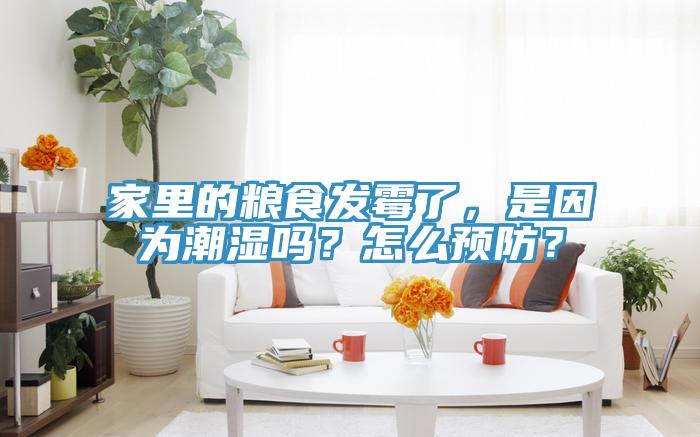 家里的糧食發(fā)霉了，是因?yàn)槌睗駟?？怎么預(yù)防？