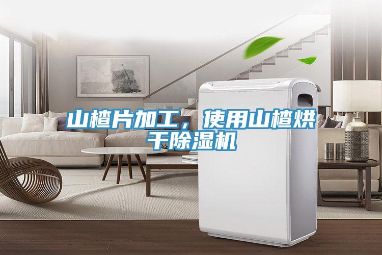 山楂片加工，使用山楂烘干除濕機(jī)